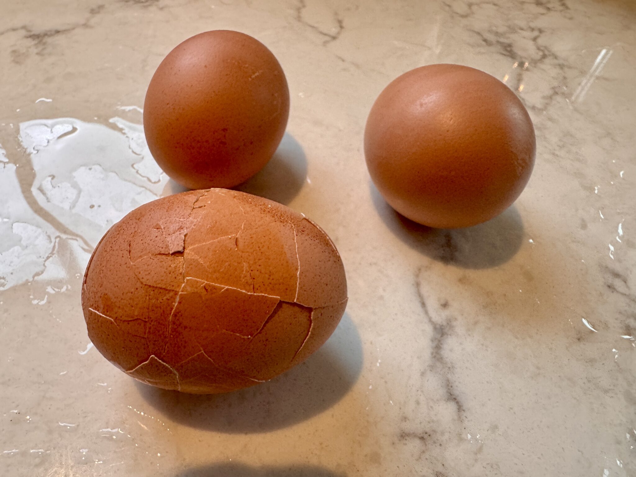 How to Make the Perfect Funeral Sandwich | Virtual Memorial Gatherings ...