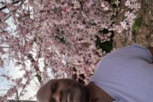 IMG_1400 (1) IMG_1400 (1)